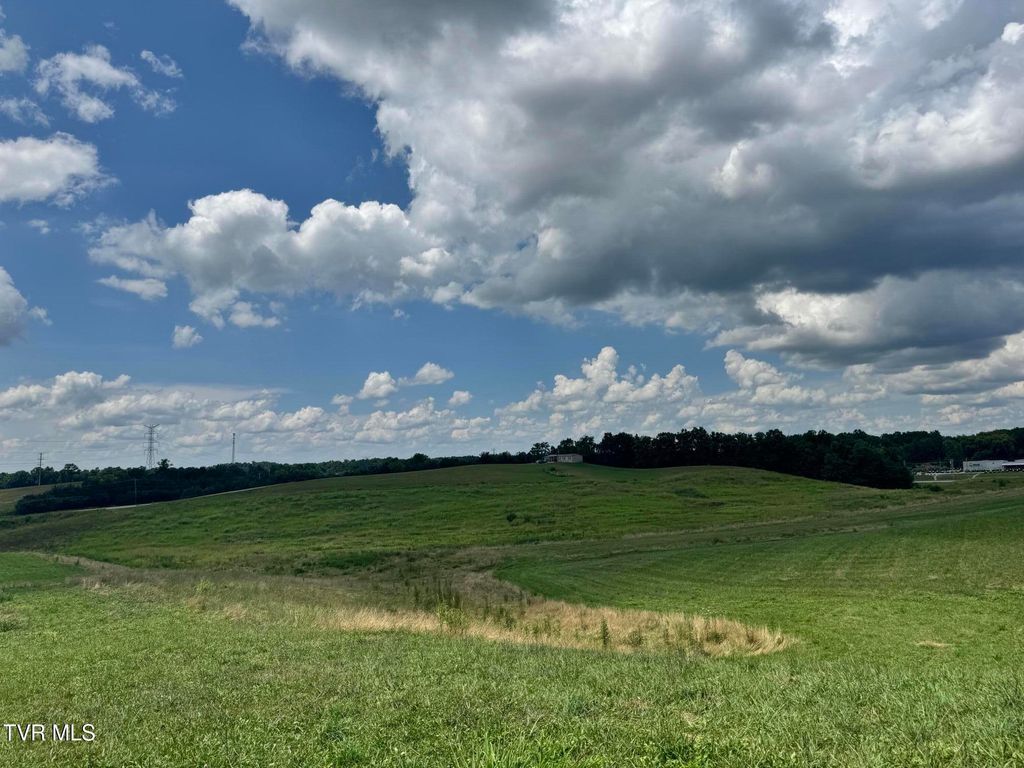 Photo of 0 Old Knoxville Hwy Highway, Greeneville, TN 37743 (MLS # 9983930)