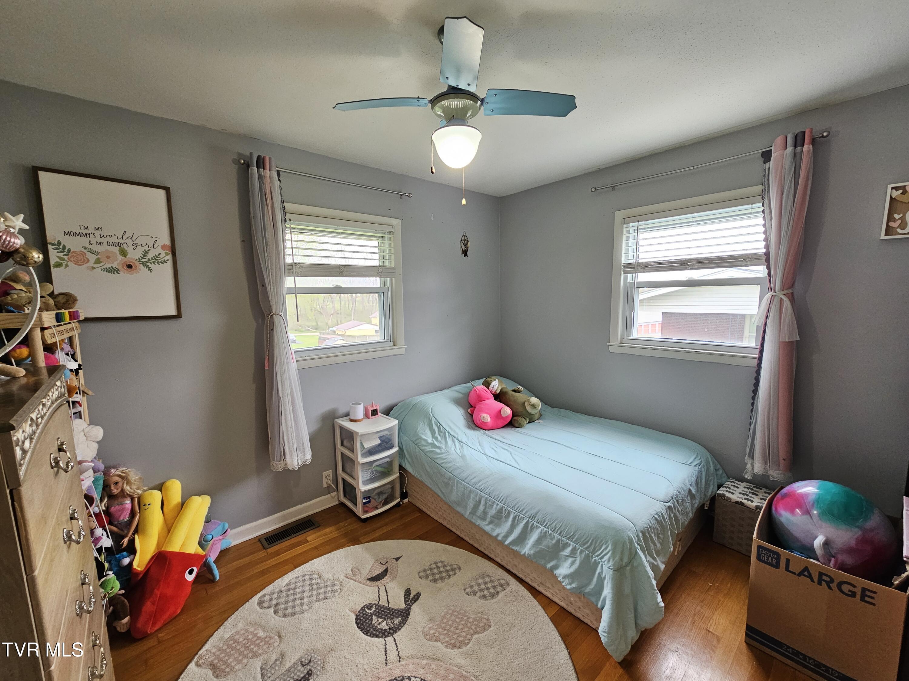 2029 Dave Buck Road, Johnson City, Tennessee image 20