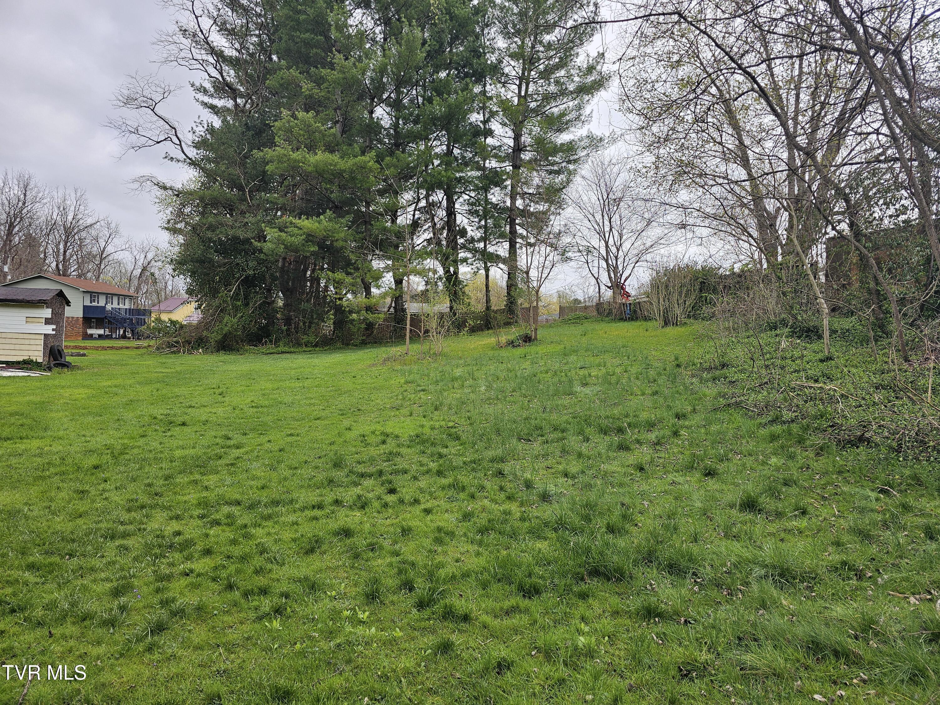2029 Dave Buck Road, Johnson City, Tennessee image 36