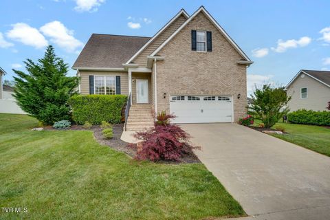 Photo of 364 Jessicas Way, Johnson City, TN 37615 (MLS # 9994689)