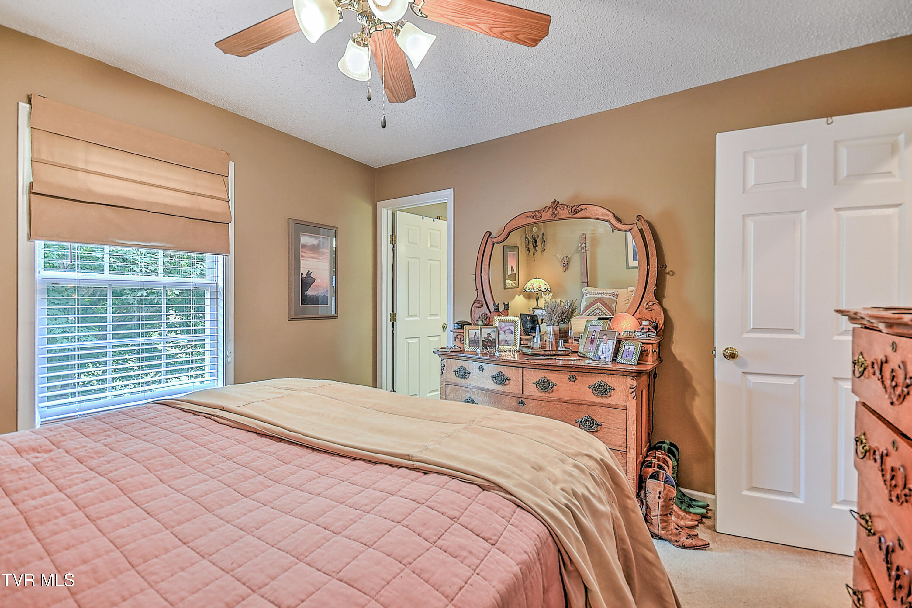 231 Maple Ridge Drive, Jonesborough, Tennessee image 31