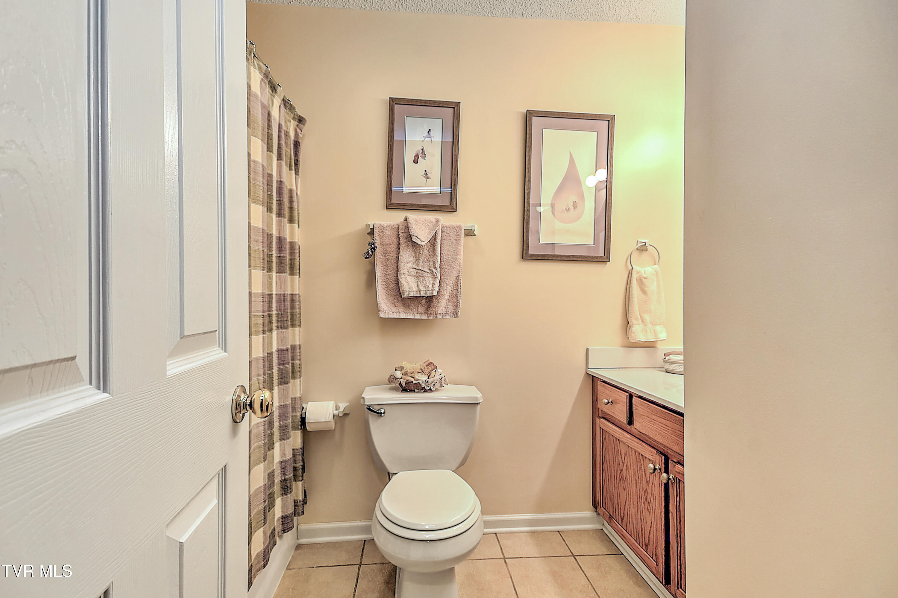 231 Maple Ridge Drive, Jonesborough, Tennessee image 29