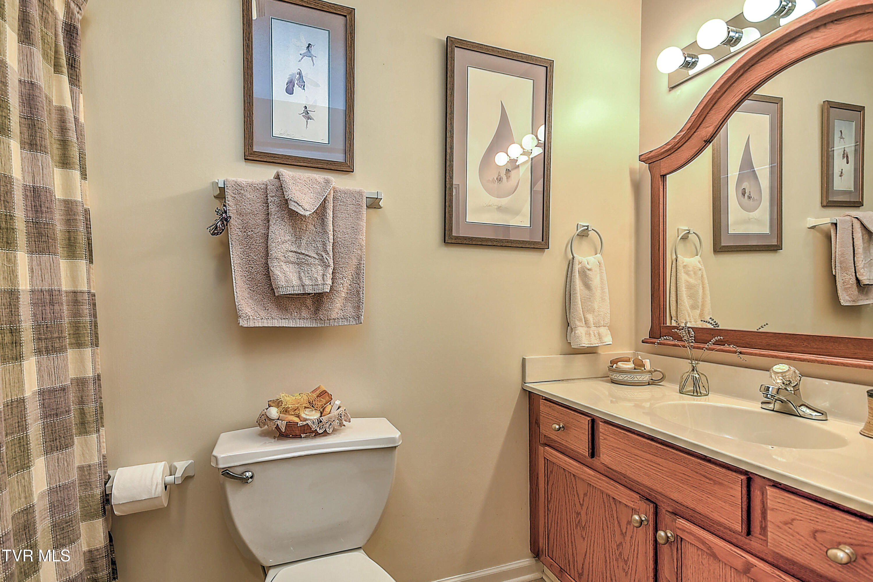 231 Maple Ridge Drive, Jonesborough, Tennessee image 30