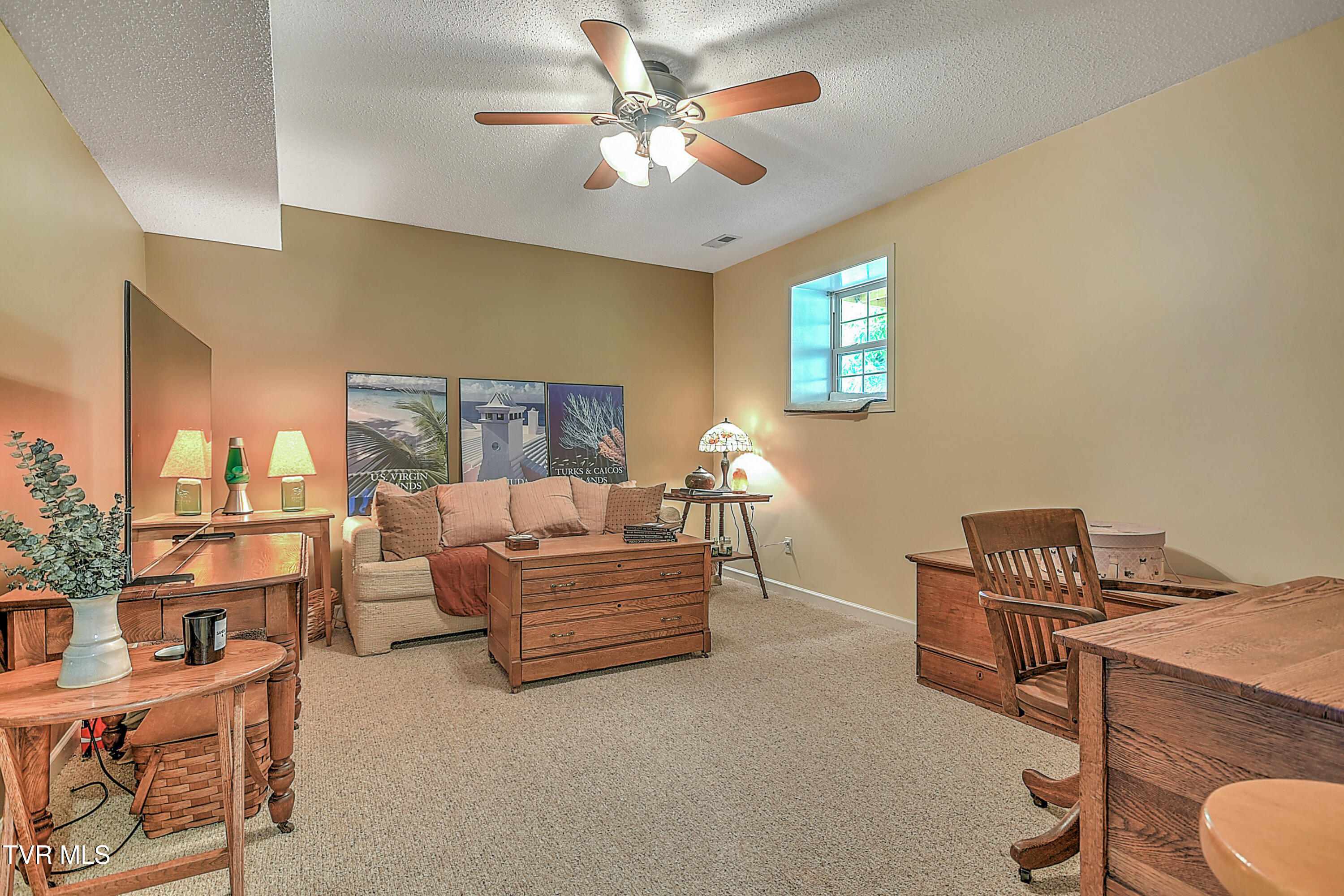231 Maple Ridge Drive, Jonesborough, Tennessee image 46