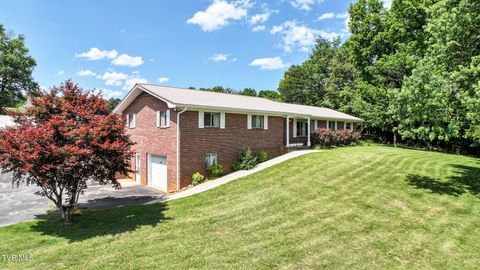 Photo of 595 Allens Bridge Road, Greeneville, TN 37743 (MLS # 9995743)