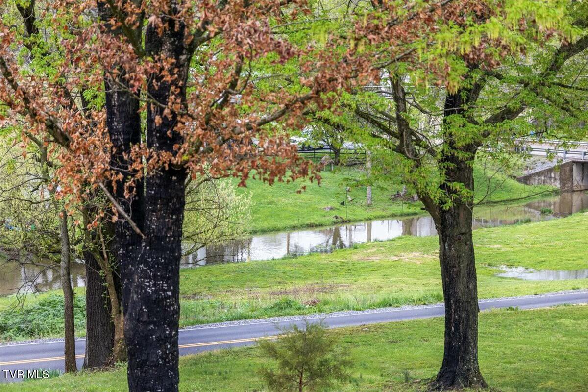 114 Telford New Victory Road, Telford, Tennessee image 16