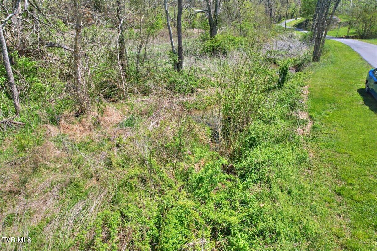 Mill Creek Road, Kingsport, Tennessee image 24