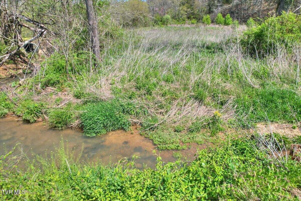 Photo of 0 Mill Creek Road, Kingsport, TN 37664 (MLS # 9964701)