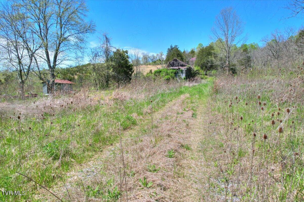 Mill Creek Road, Kingsport, Tennessee image 19