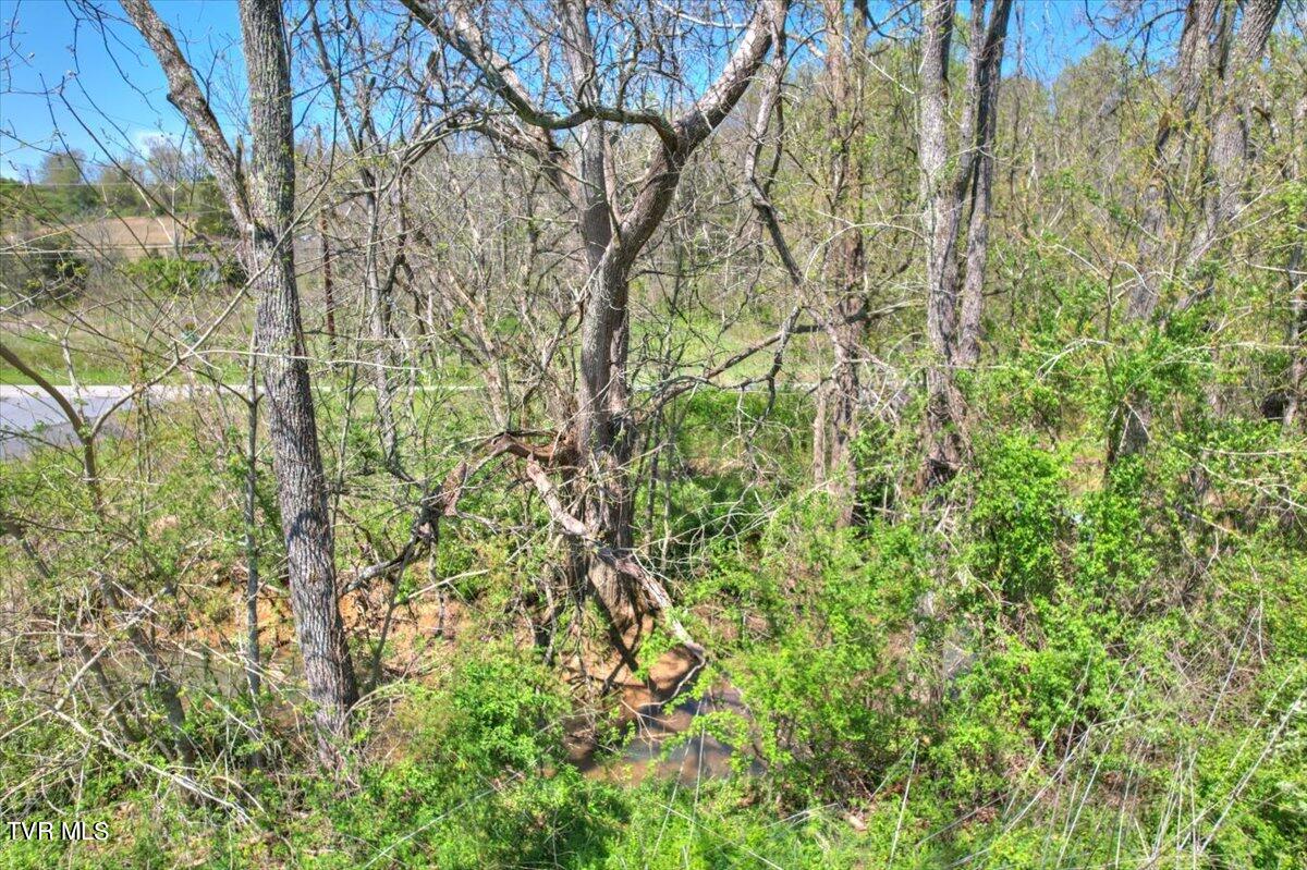 Mill Creek Road, Kingsport, Tennessee image 5