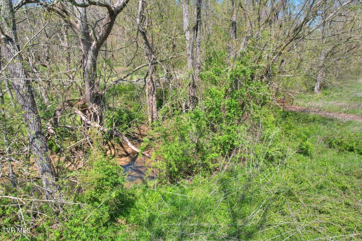 Mill Creek Road, Kingsport, Tennessee image 13