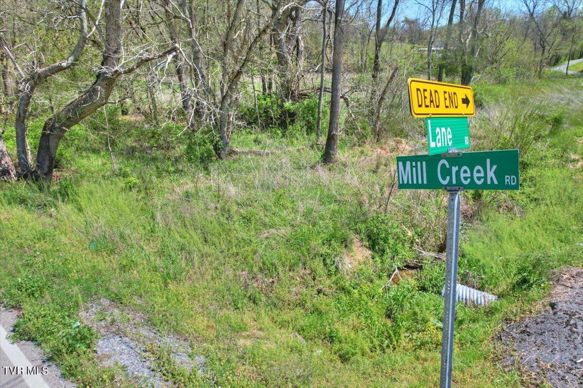 Mill Creek Road, Kingsport, Tennessee image 23