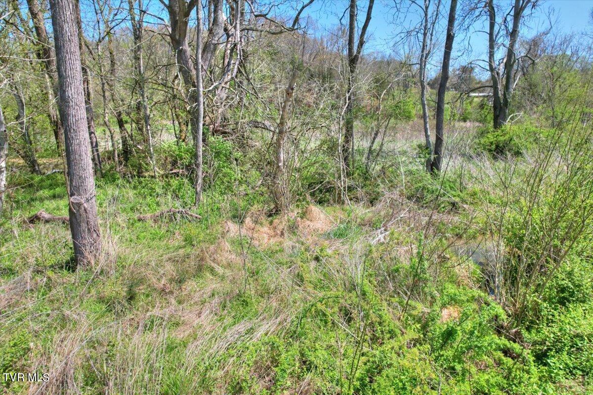 Mill Creek Road, Kingsport, Tennessee image 26