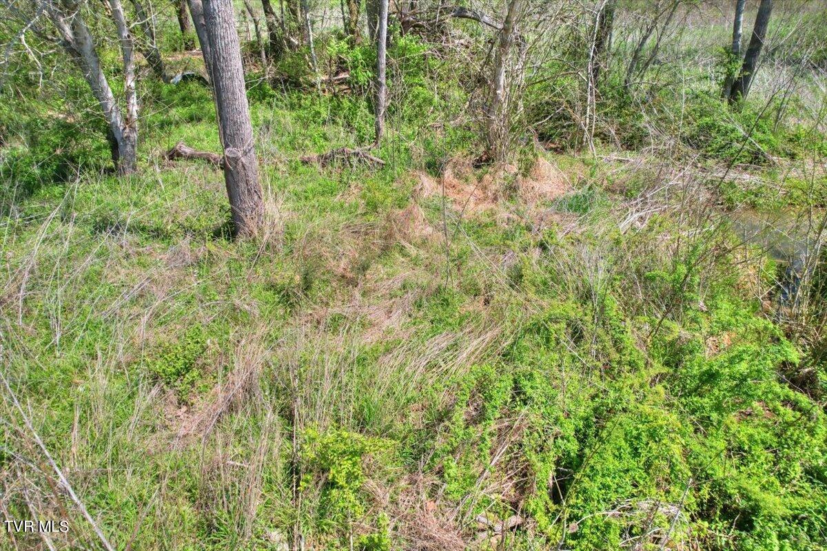 Mill Creek Road, Kingsport, Tennessee image 25