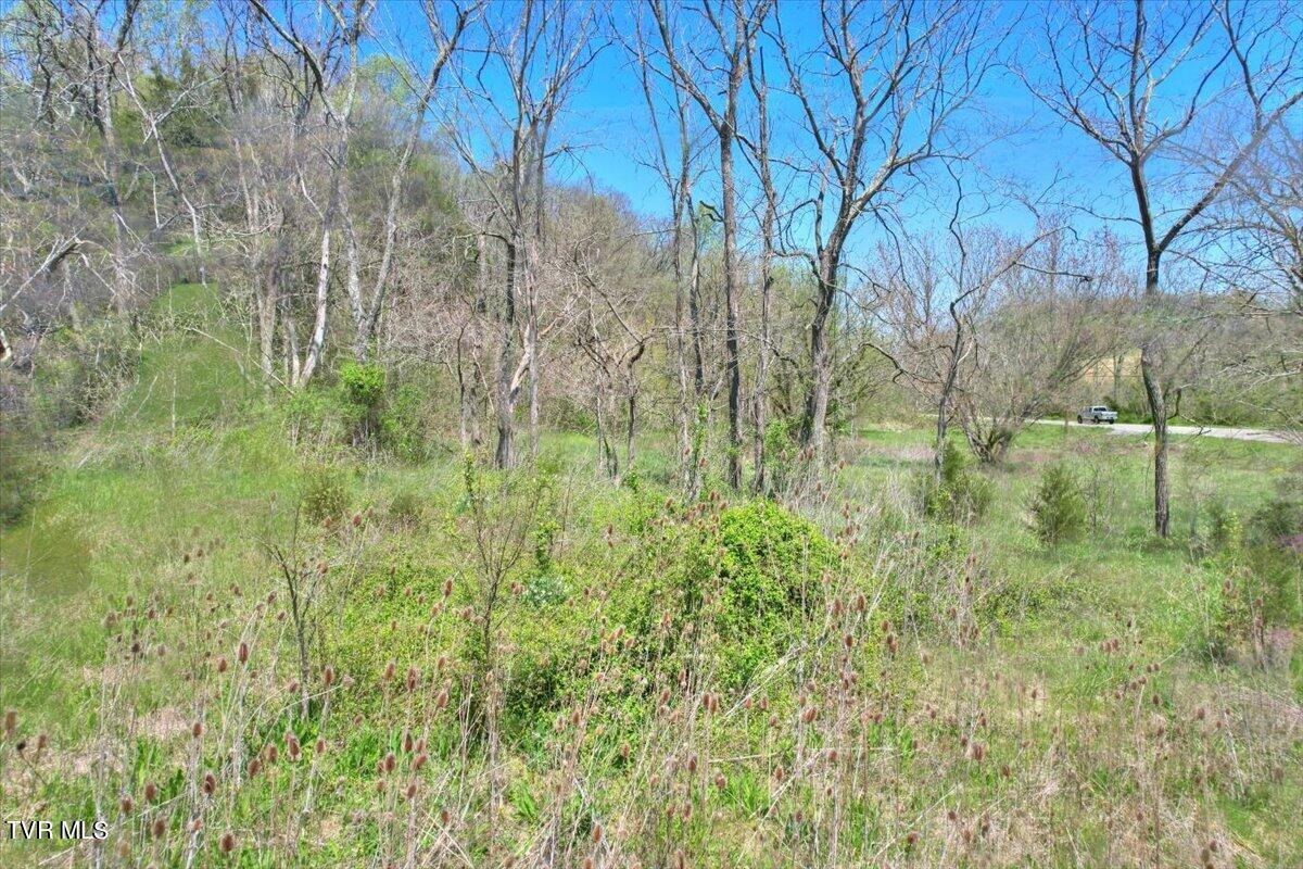 Mill Creek Road, Kingsport, Tennessee image 18