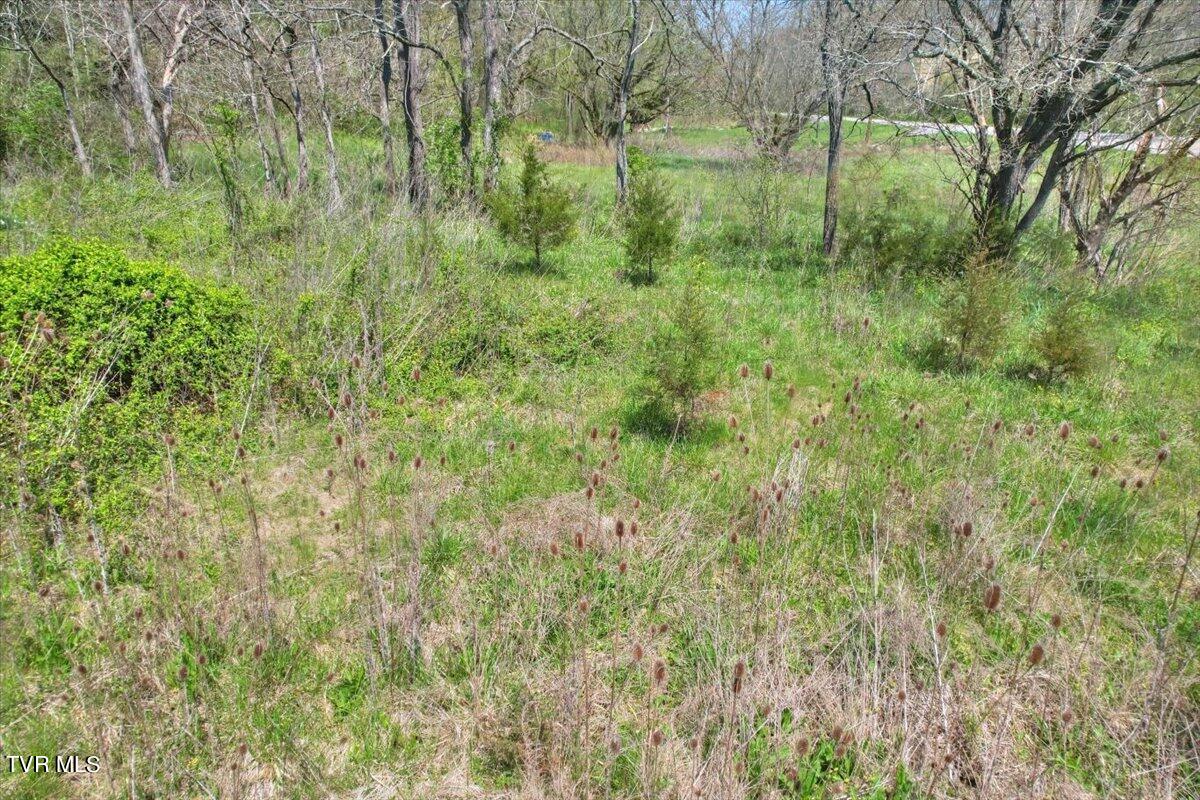 Mill Creek Road, Kingsport, Tennessee image 20
