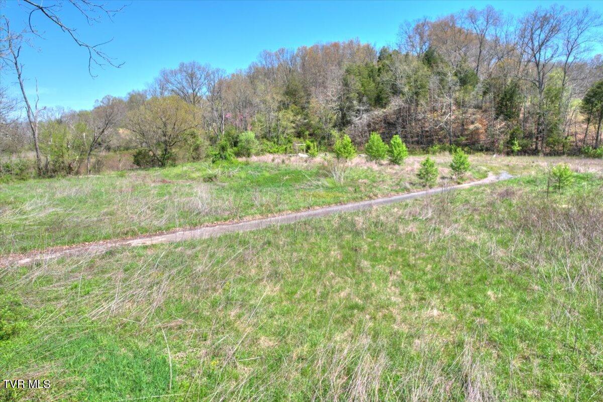 Mill Creek Road, Kingsport, Tennessee image 4