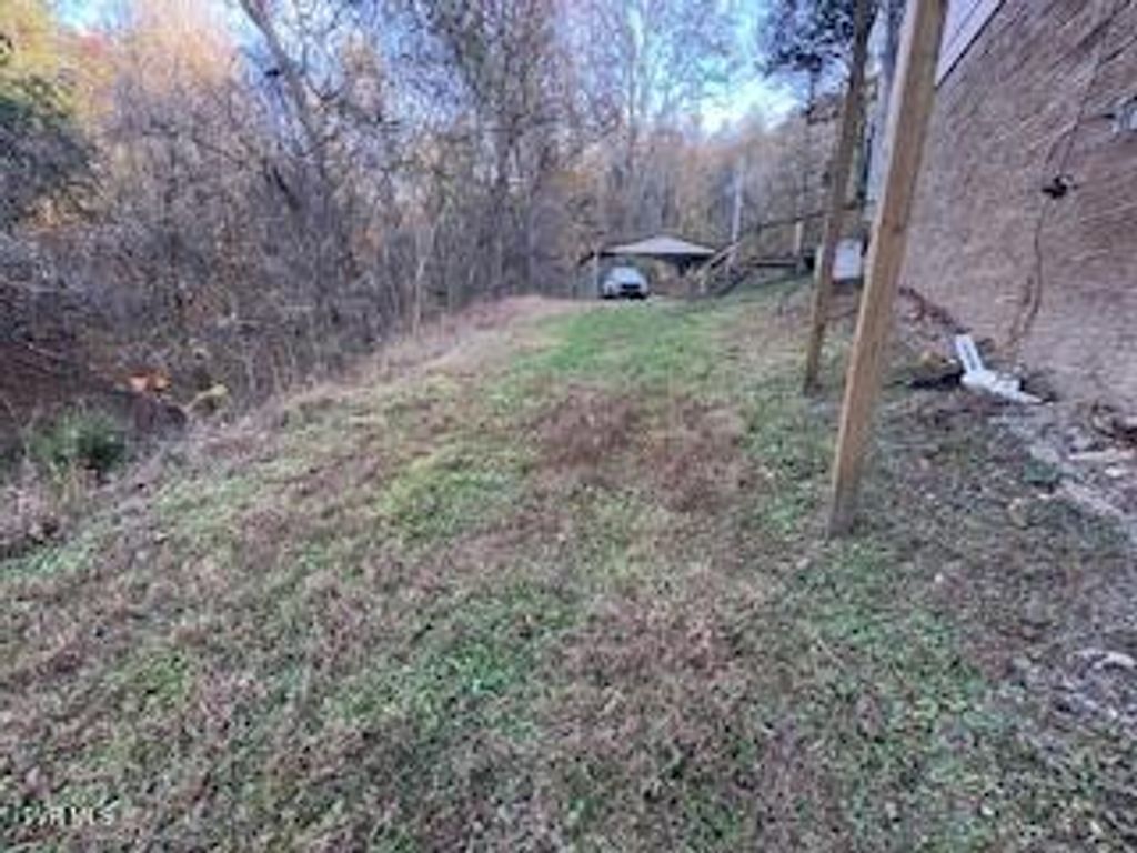Photo of 250 Pendleton Road, Blountville, TN 37617 (MLS # 9987988)