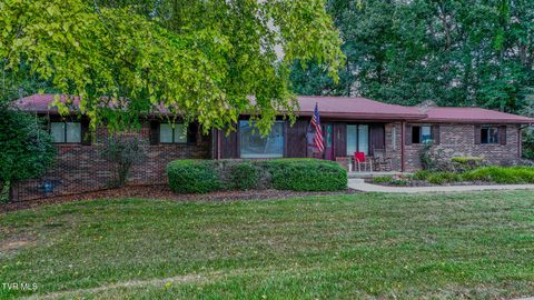 Homes For Sale - 109 Headtown Road<br/> Jonesborough, TN 37659