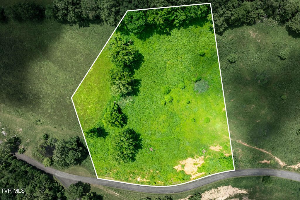 Photo of Tdb Ridgeview Drive, Mountain City, TN 37683 (MLS # 9993071)