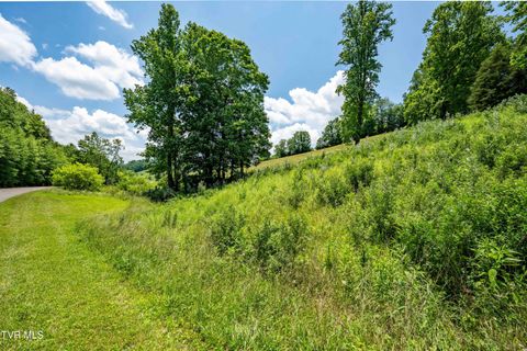 Vacant Land For Sale - TBD Ridgeview Drive<br/> Johnson County, Mountain City, TN 37683