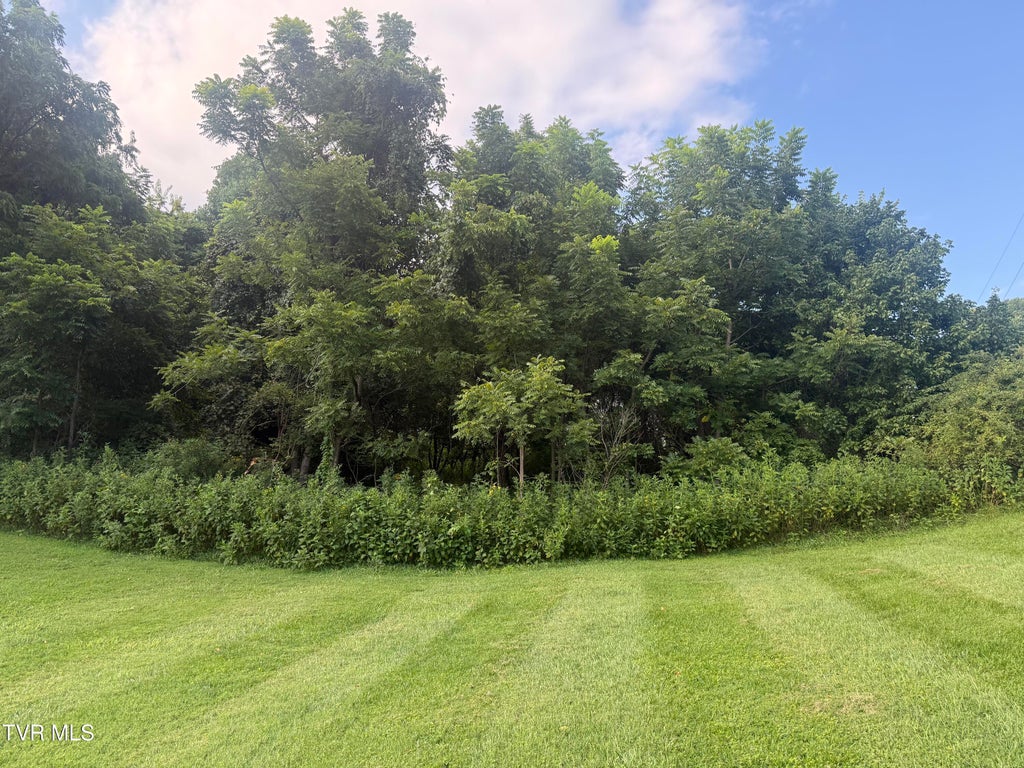 Photo of 34 Green Brook Circle, Unicoi, TN 37692 (MLS # 9999811)