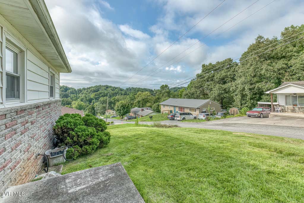 Photo of 2168 Mocassin Street, Kingsport, TN 37660 (MLS # 9999909)