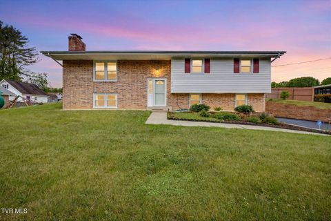 Photo of 421 Mount Area Drive, Bristol, TN 37620 (MLS # 9995243)