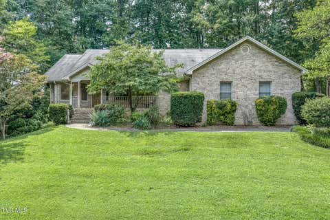 Photo of 109 Keeland Drive, Gray, TN 37615 (MLS # 9999451)