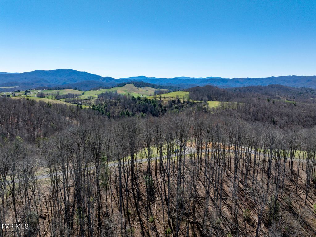 Photo of 44 Of Dry Hill Road, Butler, TN 37640 (MLS # 9987197)