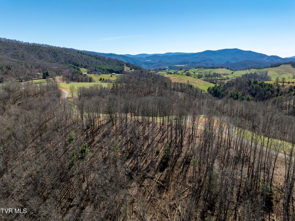 Photo of 44 Of Dry Hill Road, Butler, TN 37640 (MLS # 9987197)