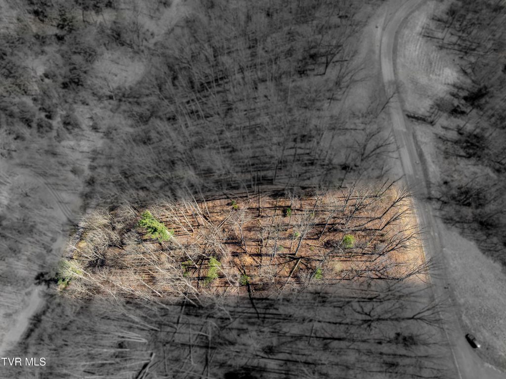 Photo of 44 Of Dry Hill Road, Butler, TN 37640 (MLS # 9987197)