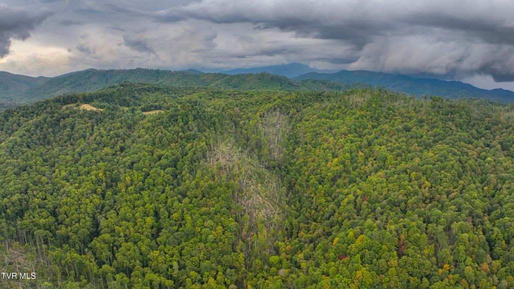 Photo of Tbd Poplar Creek Road, Green Mountain, NC 28740 (MLS # 9987353)