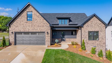 Photo of 54 Glaze Farm Way, Johnson City, TN 37615 (MLS # 9995466)