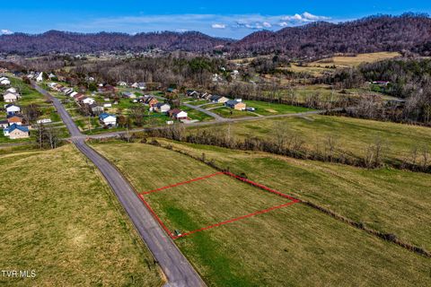Vacant Land For Sale - TBD3 Dawn Lane #LOT 3<br/> Rogersville, TN 37857