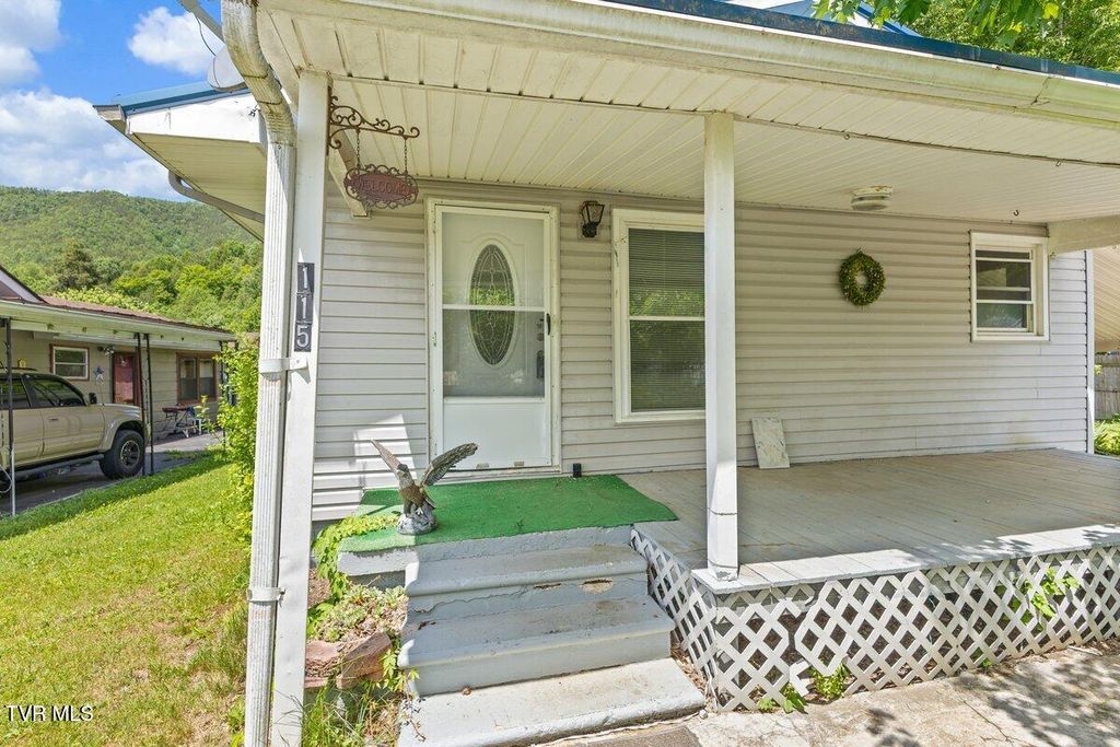 Photo of 115 Alexander Street, Hampton, TN 37658 (MLS # 9995930)