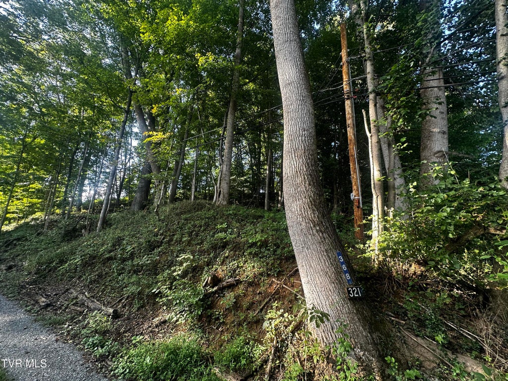 Photo of Tbd Holston Drive, Weber City, VA 24290 (MLS # 10000625)