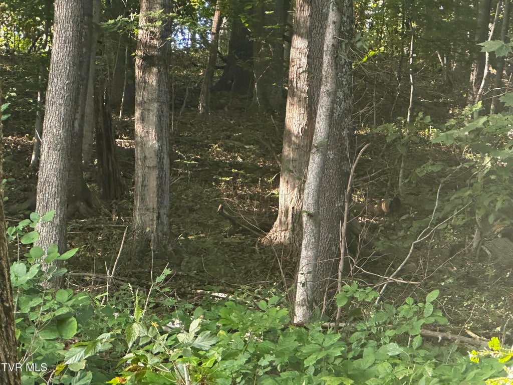 Photo of Tbd Holston Drive, Weber City, VA 24290 (MLS # 10000625)