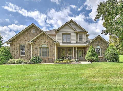 Photo of 107 Strawberry Field Drive, Johnson City, TN 37604 (MLS # 9999799)