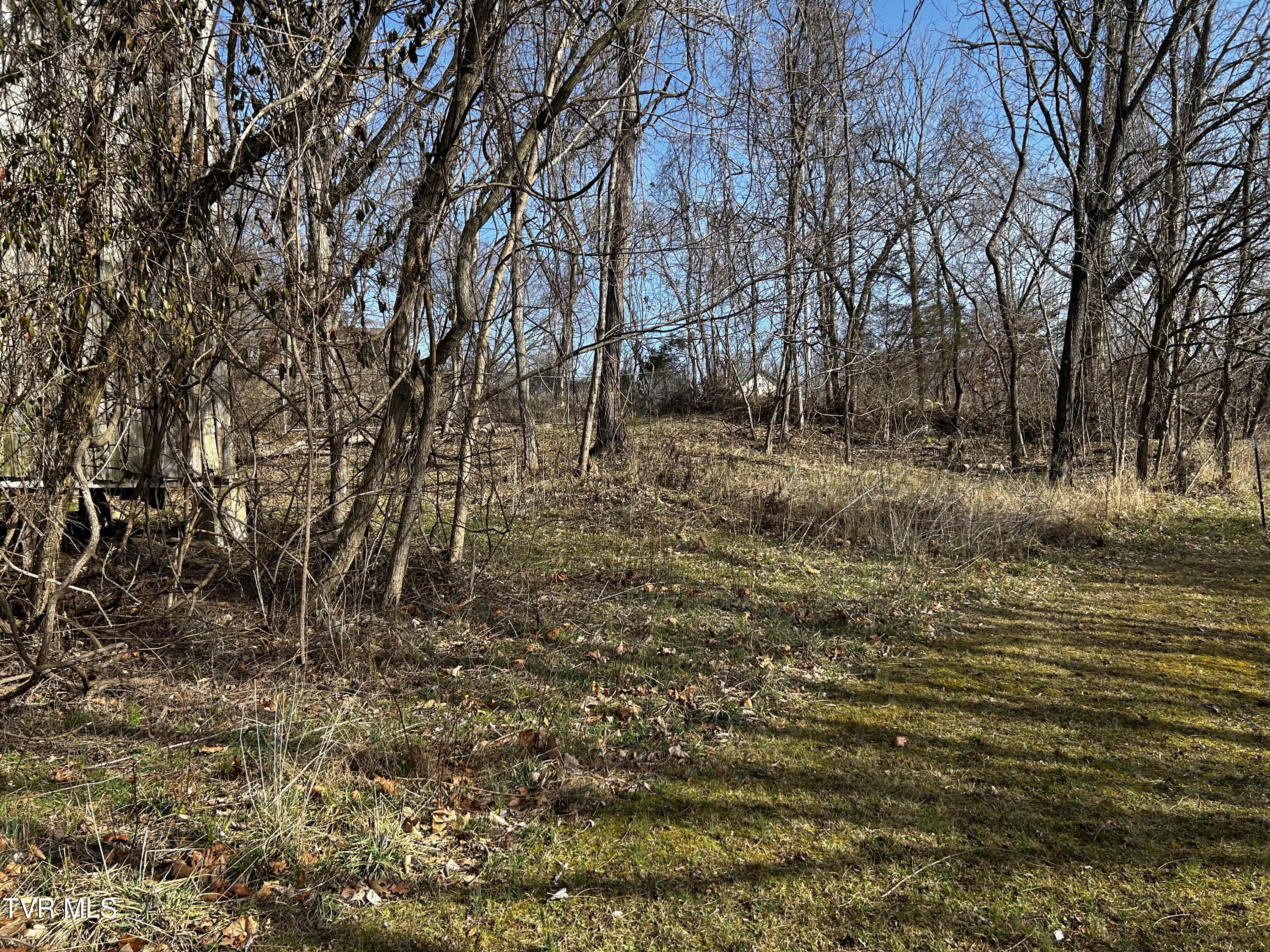 198 Maple Tree Lane, Watauga, Tennessee image 4