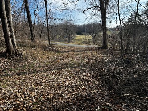 Vacant Land For Sale - 198 Maple Tree Lane<br/> Watauga, TN 37694