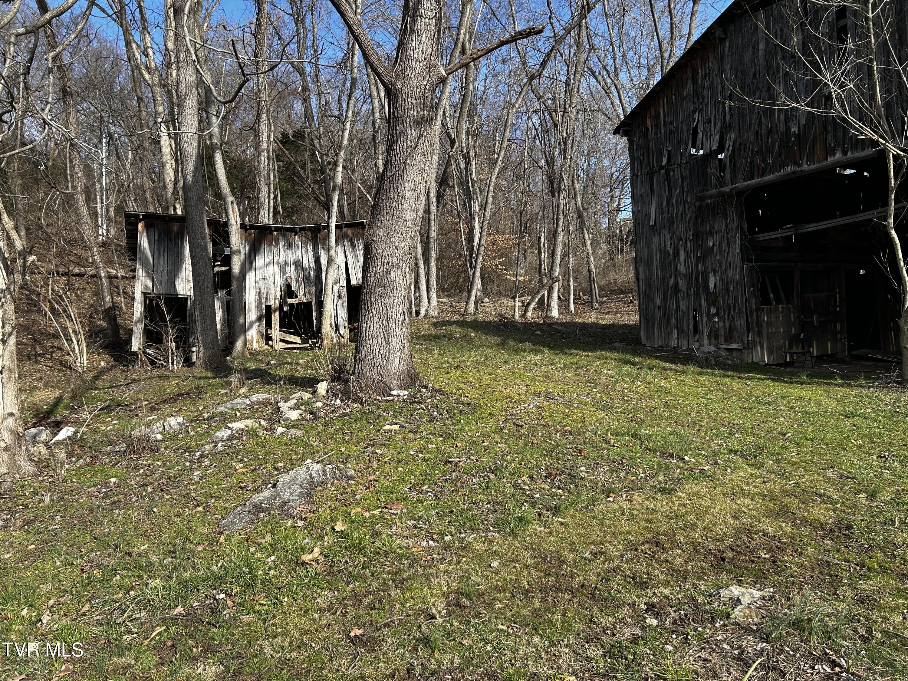 198 Maple Tree Lane, Watauga, Tennessee image 10