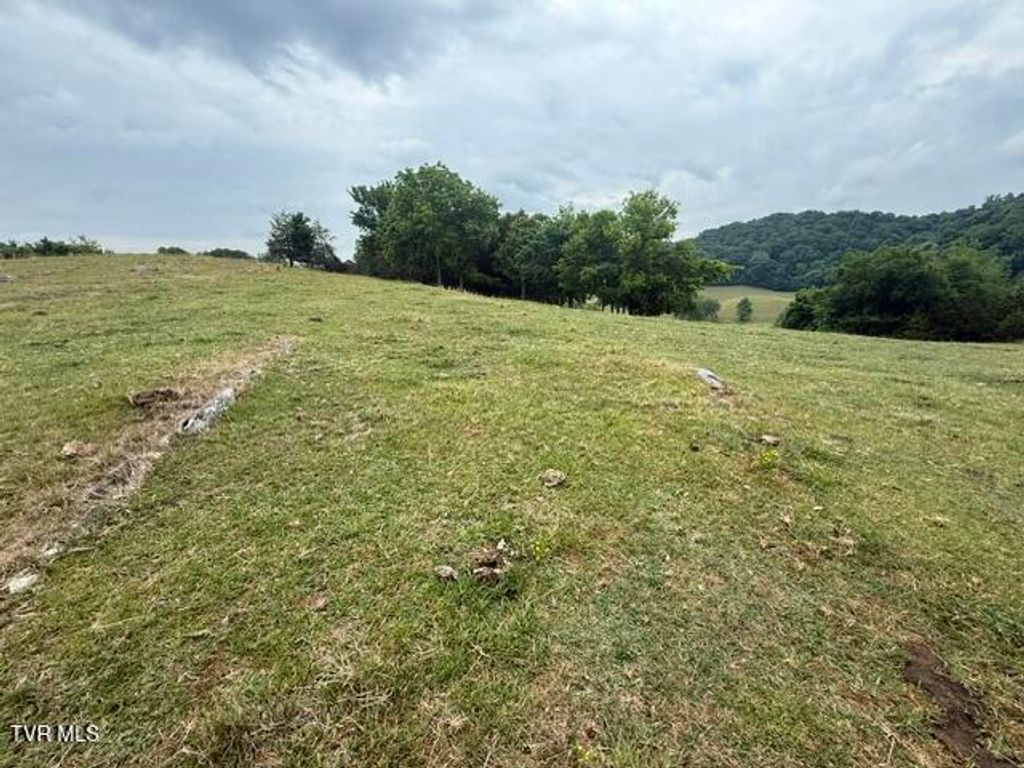 Photo of Tbd Summer Sound Road, Piney Flats, TN 37686 (MLS # 9995737)