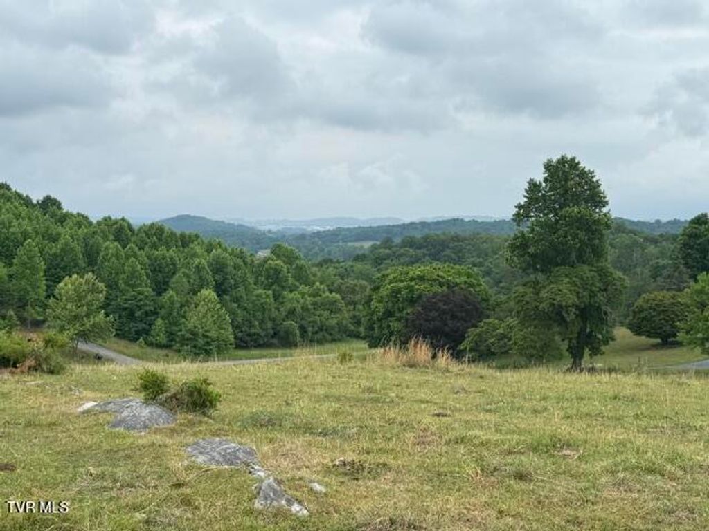 Photo of Tbd Summer Sound Road, Piney Flats, TN 37686 (MLS # 9995737)