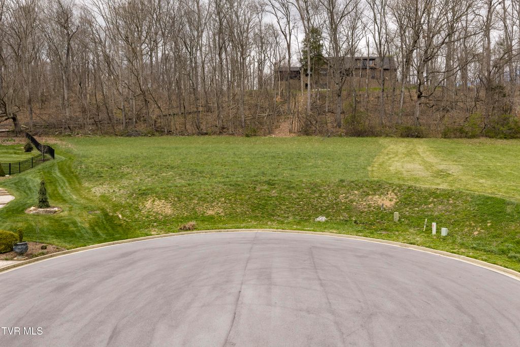 Photo of 5 Sweet Pea Terrace, Johnson City, TN 37615 (MLS # 9992791)