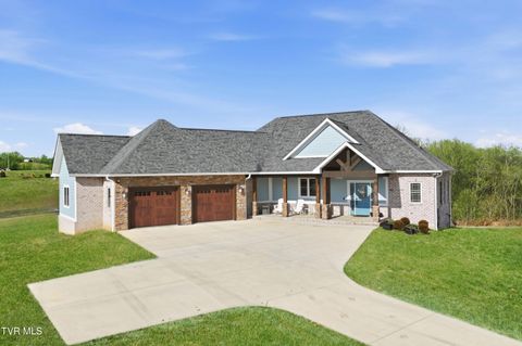 301 Painter Road Fall Branch TN 37656