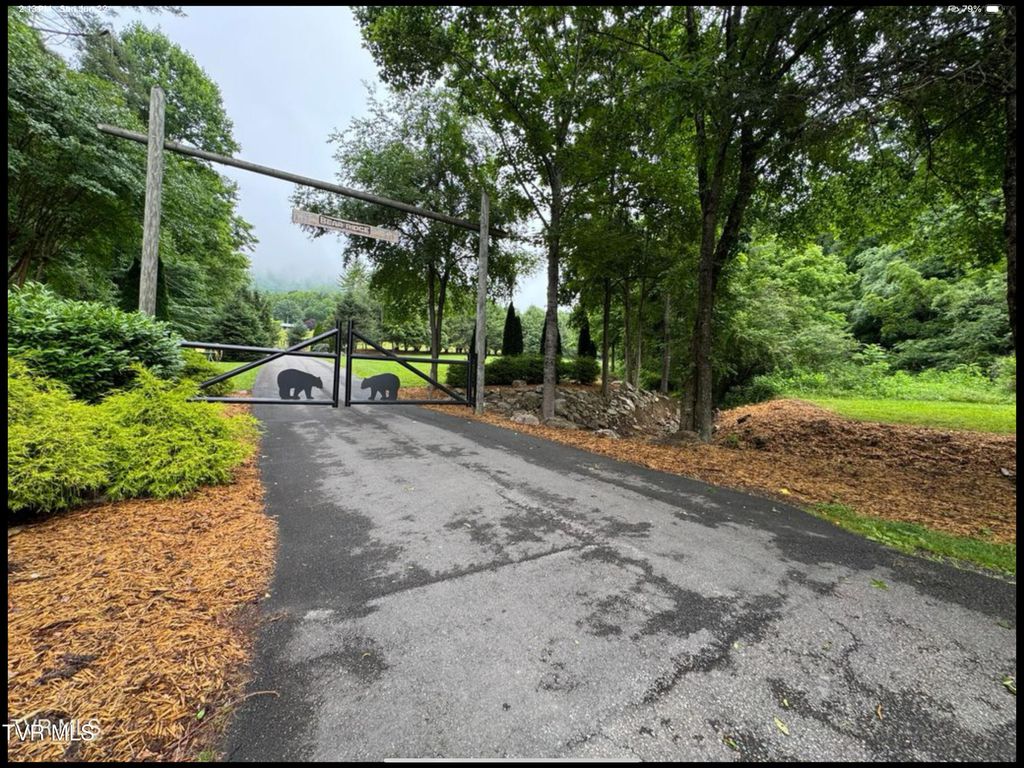 Photo of 191 Bear Ridge Drive, Butler, TN 37640 (MLS # 9981378)