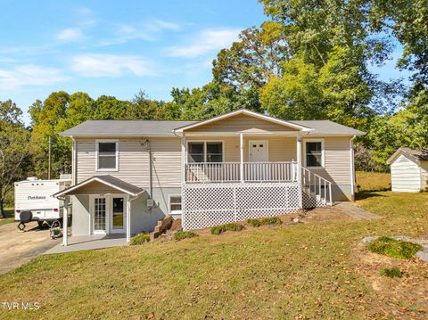 Homes For Sale - 123 Hallborough Drive<br/> Washington County, Jonesborough, TN 37659