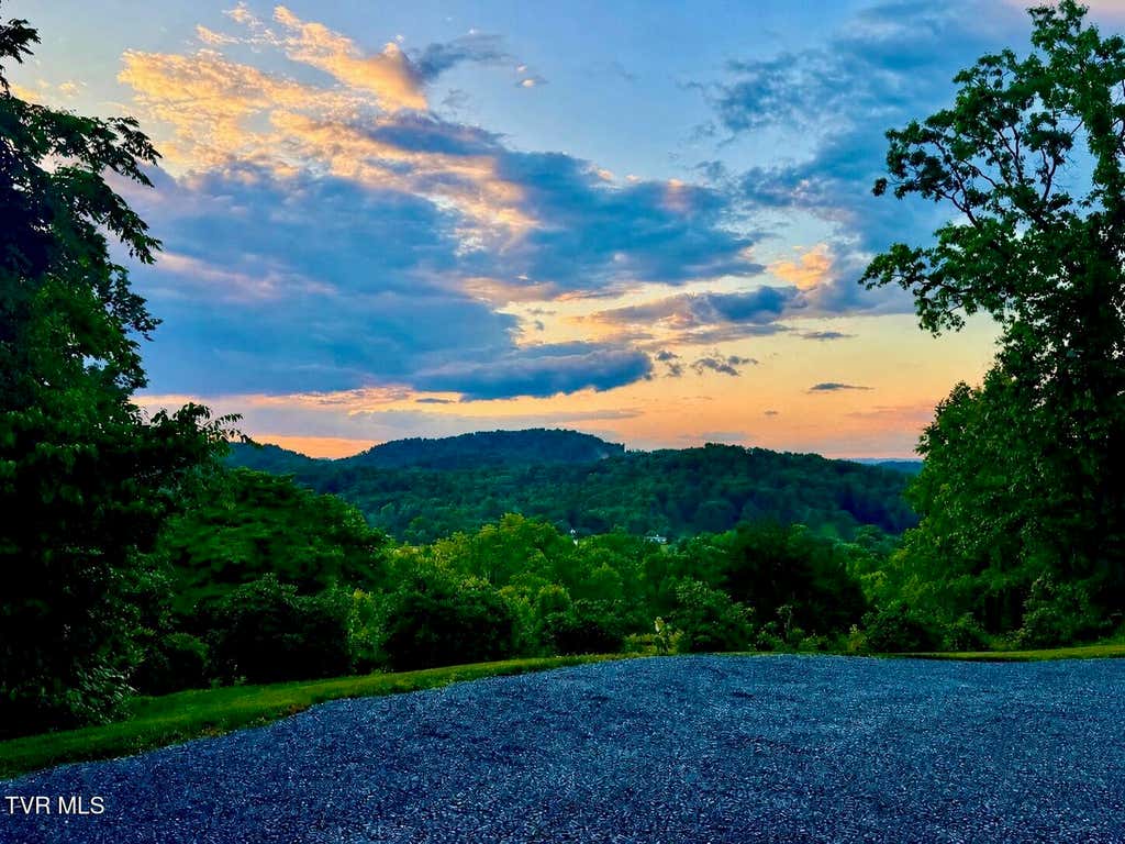 Photo of 179 Taylortown Road, Johnson City, TN 37601 (MLS # 9995132)