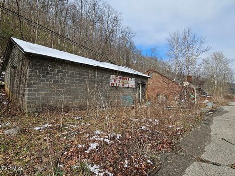 Vacant Land For Sale - 10007 Orby Cantrell Highway<br/> Wise County, Pound, VA 24279